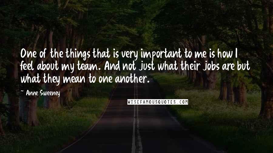 Anne Sweeney Quotes: One of the things that is very important to me is how I feel about my team. And not just what their jobs are but what they mean to one another.