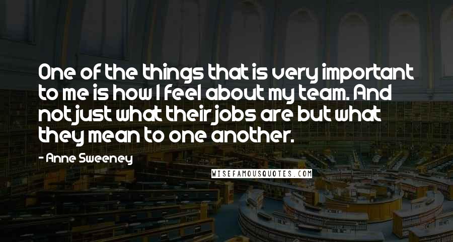 Anne Sweeney Quotes: One of the things that is very important to me is how I feel about my team. And not just what their jobs are but what they mean to one another.