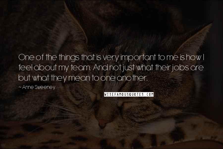 Anne Sweeney Quotes: One of the things that is very important to me is how I feel about my team. And not just what their jobs are but what they mean to one another.