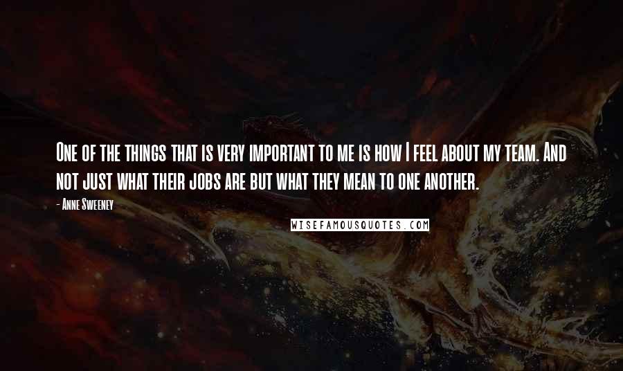 Anne Sweeney Quotes: One of the things that is very important to me is how I feel about my team. And not just what their jobs are but what they mean to one another.