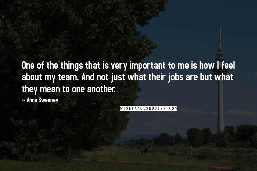 Anne Sweeney Quotes: One of the things that is very important to me is how I feel about my team. And not just what their jobs are but what they mean to one another.