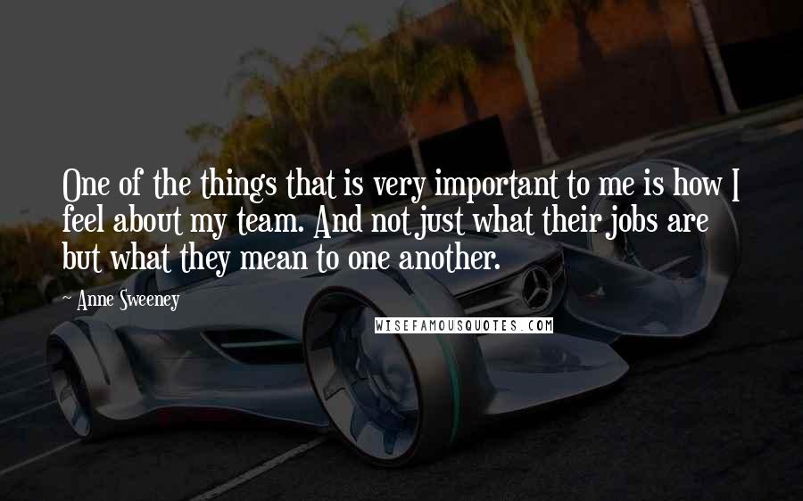 Anne Sweeney Quotes: One of the things that is very important to me is how I feel about my team. And not just what their jobs are but what they mean to one another.