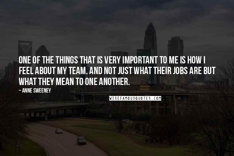 Anne Sweeney Quotes: One of the things that is very important to me is how I feel about my team. And not just what their jobs are but what they mean to one another.