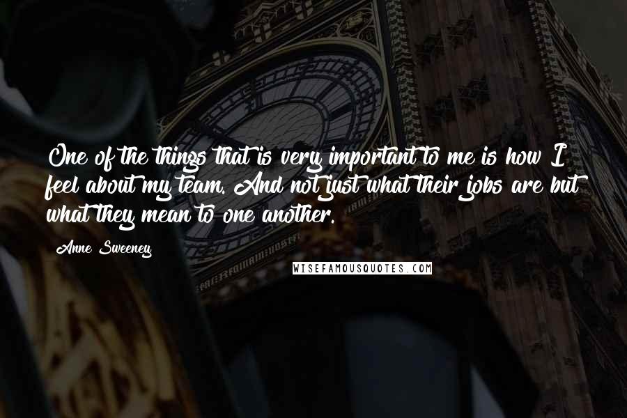 Anne Sweeney Quotes: One of the things that is very important to me is how I feel about my team. And not just what their jobs are but what they mean to one another.