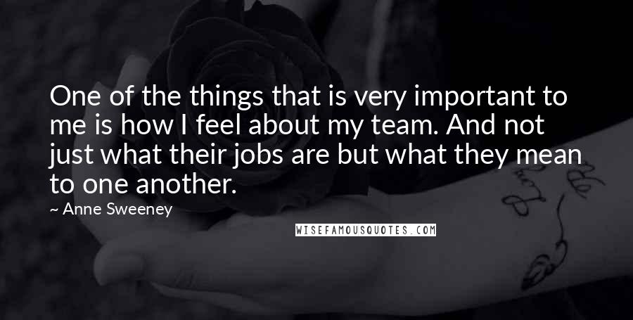 Anne Sweeney Quotes: One of the things that is very important to me is how I feel about my team. And not just what their jobs are but what they mean to one another.