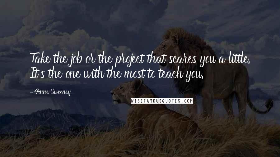 Anne Sweeney Quotes: Take the job or the project that scares you a little. It's the one with the most to teach you.