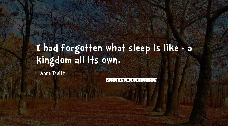 Anne Truitt Quotes: I had forgotten what sleep is like - a kingdom all its own.