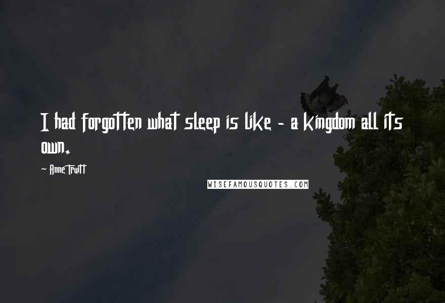 Anne Truitt Quotes: I had forgotten what sleep is like - a kingdom all its own.