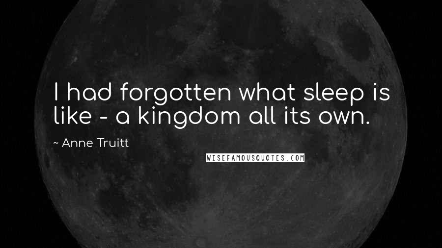 Anne Truitt Quotes: I had forgotten what sleep is like - a kingdom all its own.