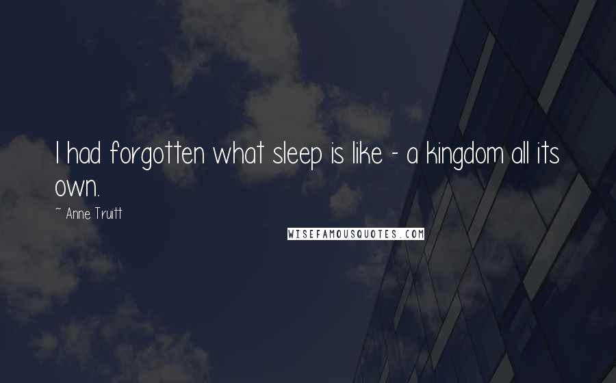 Anne Truitt Quotes: I had forgotten what sleep is like - a kingdom all its own.