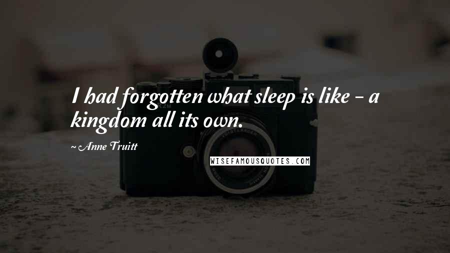 Anne Truitt Quotes: I had forgotten what sleep is like - a kingdom all its own.