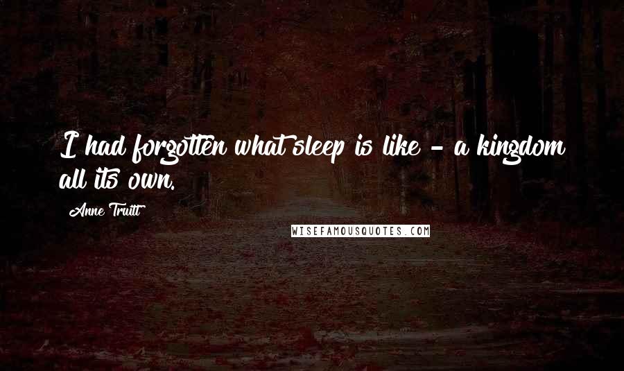 Anne Truitt Quotes: I had forgotten what sleep is like - a kingdom all its own.