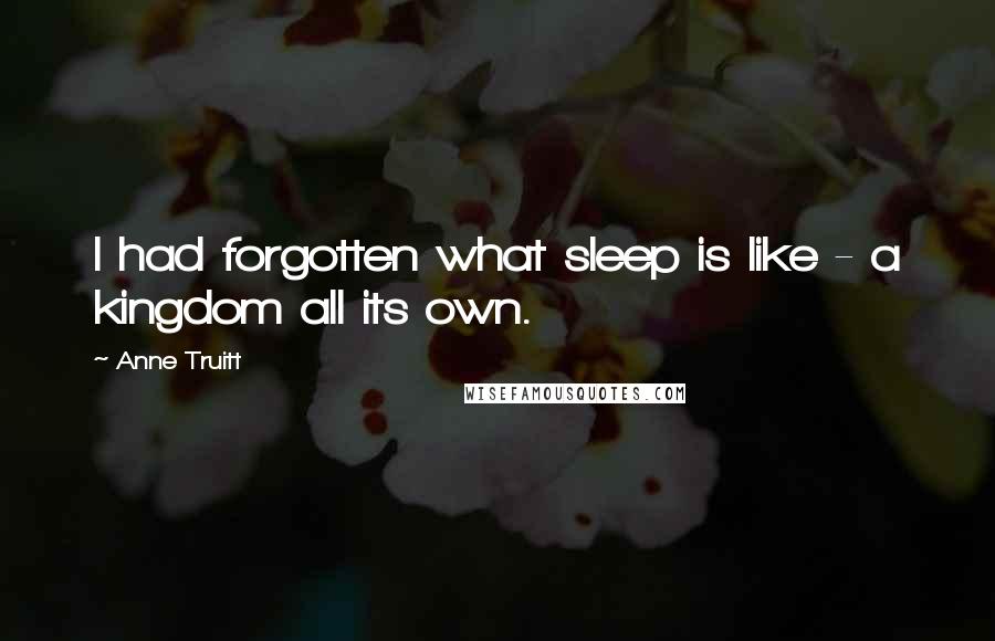 Anne Truitt Quotes: I had forgotten what sleep is like - a kingdom all its own.