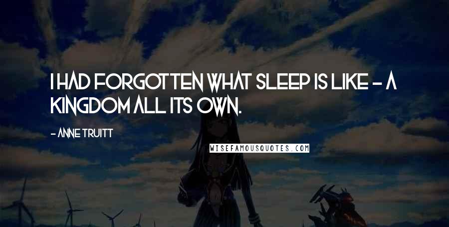 Anne Truitt Quotes: I had forgotten what sleep is like - a kingdom all its own.