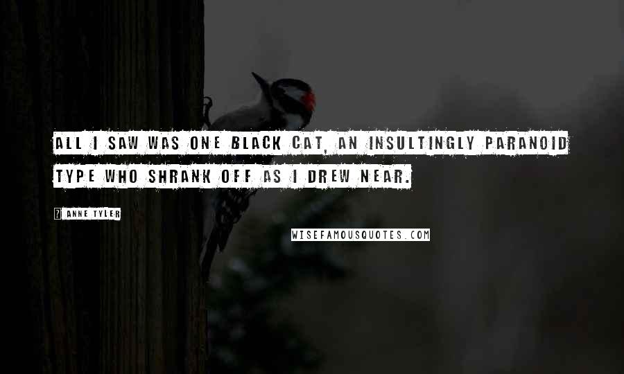 Anne Tyler Quotes: All I saw was one black cat, an insultingly paranoid type who shrank off as I drew near.