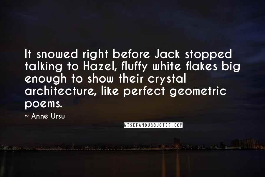 Anne Ursu Quotes: It snowed right before Jack stopped talking to Hazel, fluffy white flakes big enough to show their crystal architecture, like perfect geometric poems.