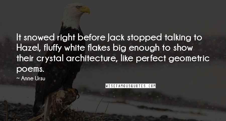 Anne Ursu Quotes: It snowed right before Jack stopped talking to Hazel, fluffy white flakes big enough to show their crystal architecture, like perfect geometric poems.