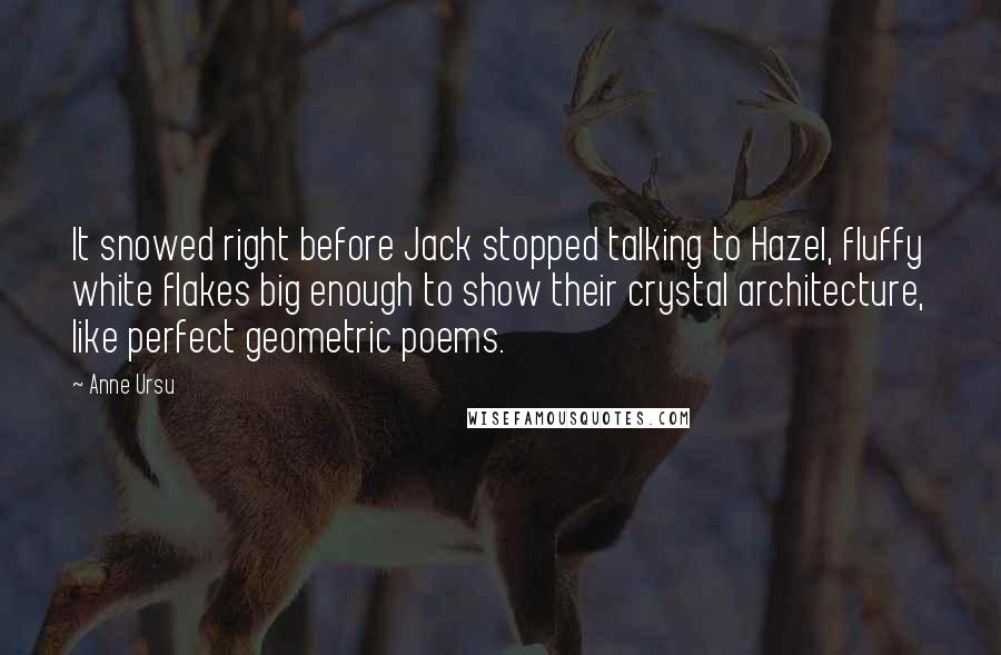 Anne Ursu Quotes: It snowed right before Jack stopped talking to Hazel, fluffy white flakes big enough to show their crystal architecture, like perfect geometric poems.