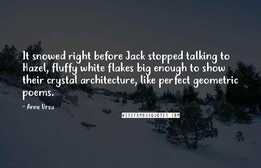 Anne Ursu Quotes: It snowed right before Jack stopped talking to Hazel, fluffy white flakes big enough to show their crystal architecture, like perfect geometric poems.