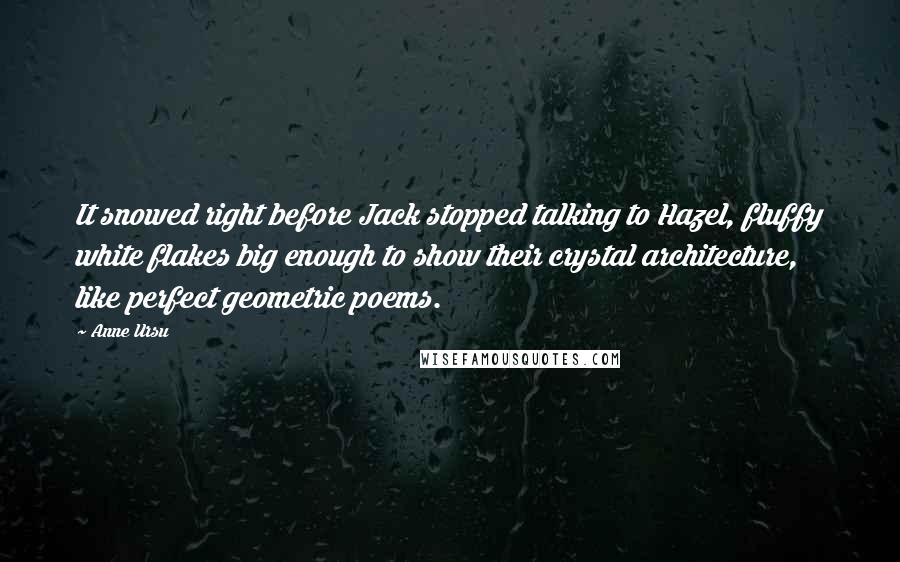 Anne Ursu Quotes: It snowed right before Jack stopped talking to Hazel, fluffy white flakes big enough to show their crystal architecture, like perfect geometric poems.