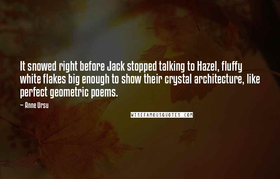 Anne Ursu Quotes: It snowed right before Jack stopped talking to Hazel, fluffy white flakes big enough to show their crystal architecture, like perfect geometric poems.