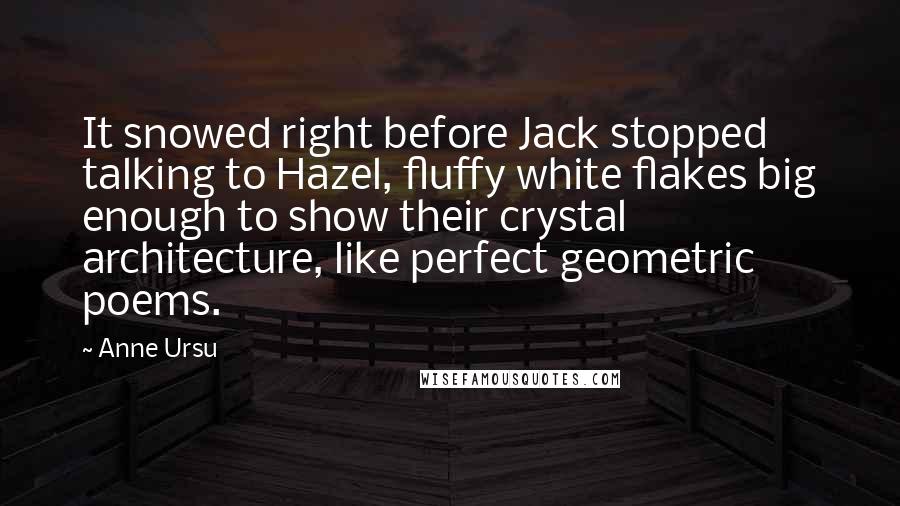 Anne Ursu Quotes: It snowed right before Jack stopped talking to Hazel, fluffy white flakes big enough to show their crystal architecture, like perfect geometric poems.