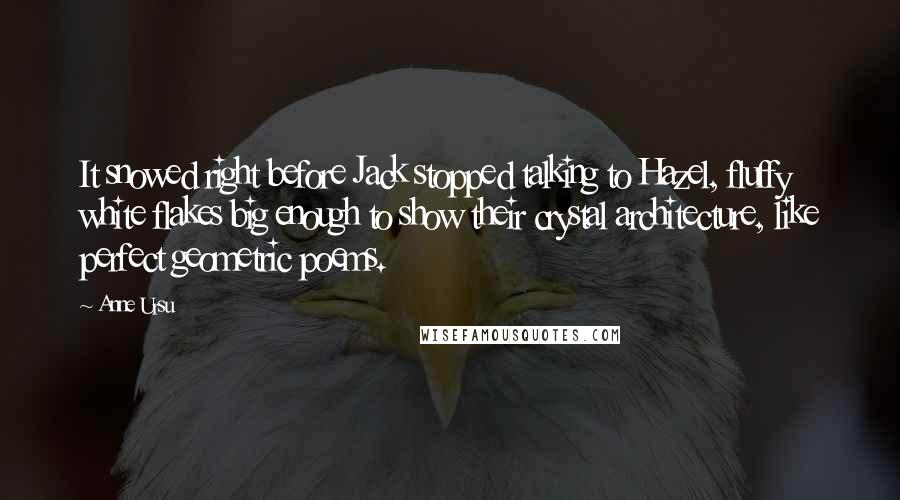 Anne Ursu Quotes: It snowed right before Jack stopped talking to Hazel, fluffy white flakes big enough to show their crystal architecture, like perfect geometric poems.