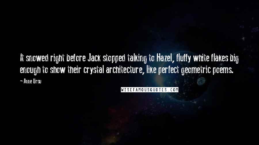 Anne Ursu Quotes: It snowed right before Jack stopped talking to Hazel, fluffy white flakes big enough to show their crystal architecture, like perfect geometric poems.