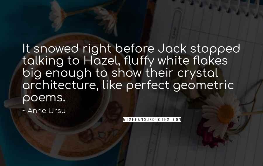 Anne Ursu Quotes: It snowed right before Jack stopped talking to Hazel, fluffy white flakes big enough to show their crystal architecture, like perfect geometric poems.