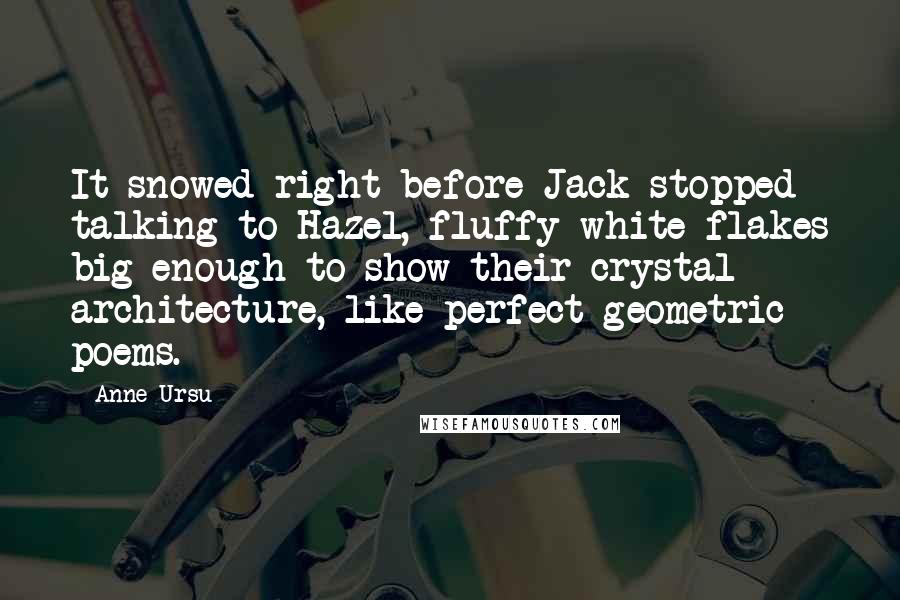 Anne Ursu Quotes: It snowed right before Jack stopped talking to Hazel, fluffy white flakes big enough to show their crystal architecture, like perfect geometric poems.