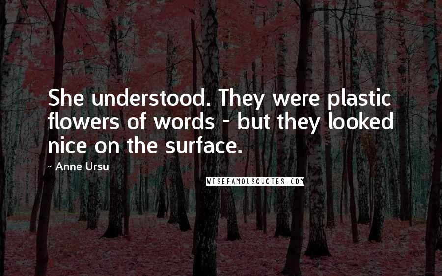 Anne Ursu Quotes: She understood. They were plastic flowers of words - but they looked nice on the surface.