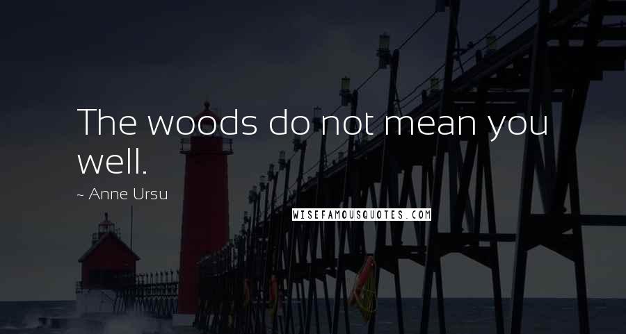 Anne Ursu Quotes: The woods do not mean you well.