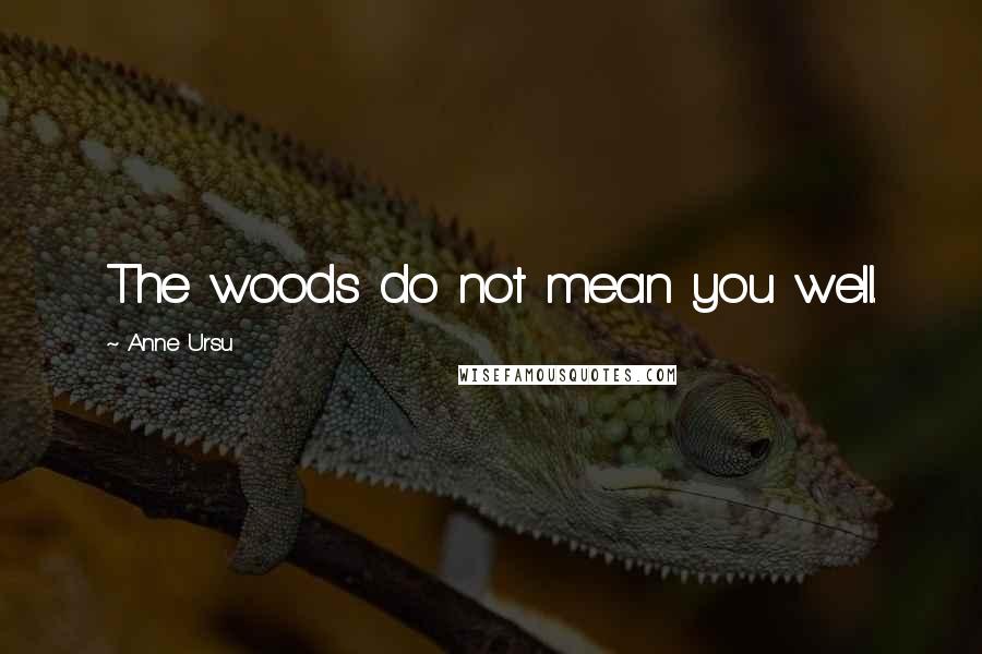 Anne Ursu Quotes: The woods do not mean you well.