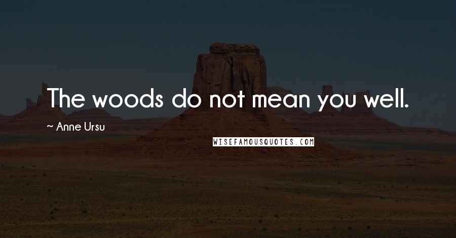 Anne Ursu Quotes: The woods do not mean you well.