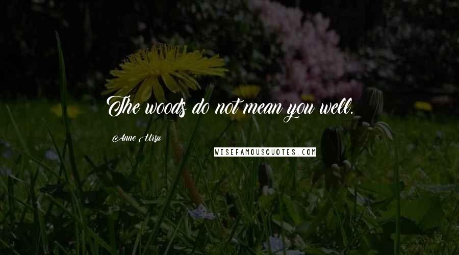 Anne Ursu Quotes: The woods do not mean you well.