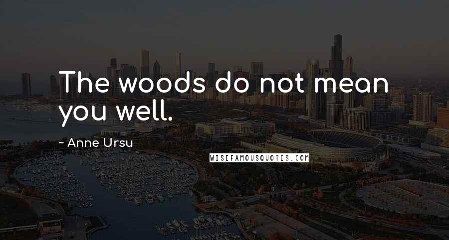 Anne Ursu Quotes: The woods do not mean you well.