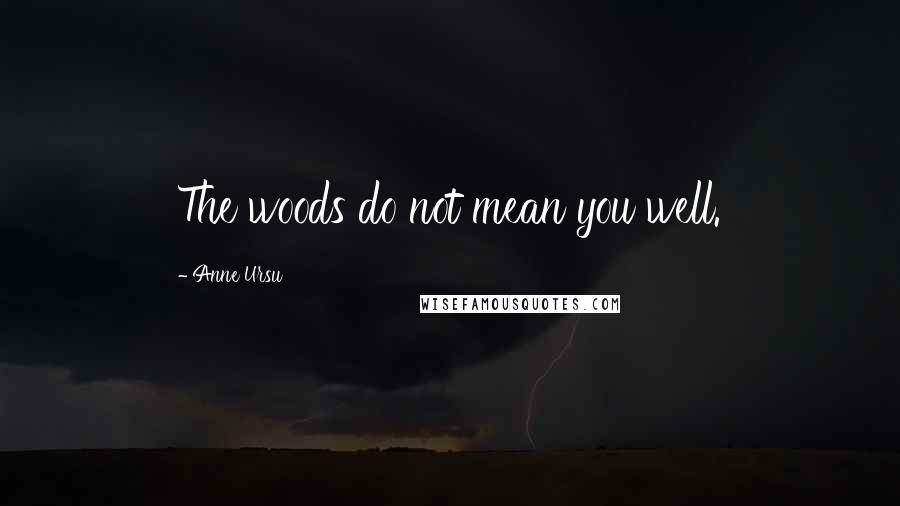 Anne Ursu Quotes: The woods do not mean you well.