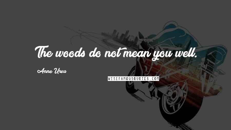 Anne Ursu Quotes: The woods do not mean you well.