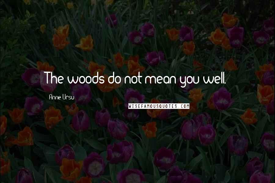 Anne Ursu Quotes: The woods do not mean you well.