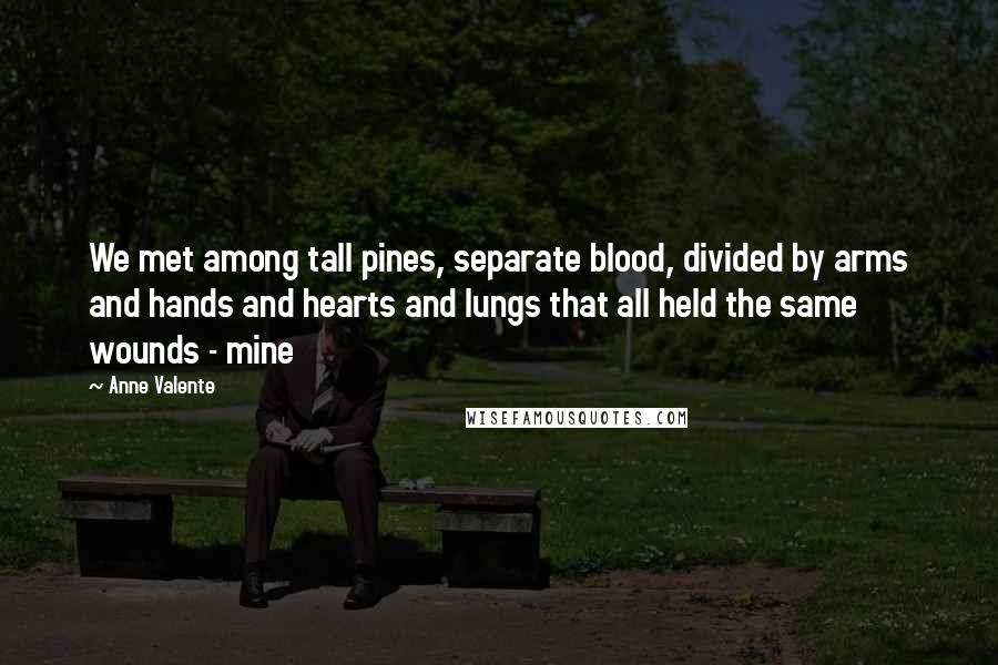 Anne Valente Quotes: We met among tall pines, separate blood, divided by arms and hands and hearts and lungs that all held the same wounds - mine