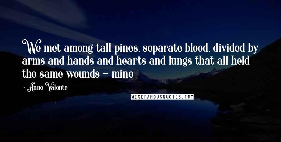 Anne Valente Quotes: We met among tall pines, separate blood, divided by arms and hands and hearts and lungs that all held the same wounds - mine