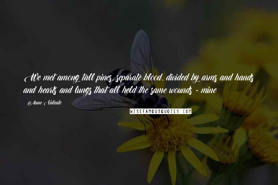 Anne Valente Quotes: We met among tall pines, separate blood, divided by arms and hands and hearts and lungs that all held the same wounds - mine