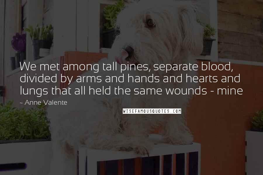 Anne Valente Quotes: We met among tall pines, separate blood, divided by arms and hands and hearts and lungs that all held the same wounds - mine