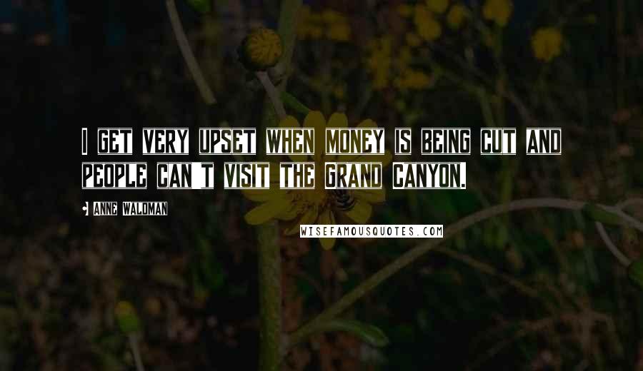 Anne Waldman Quotes: I get very upset when money is being cut and people can't visit the Grand Canyon.