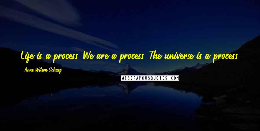 Anne Wilson Schaef Quotes: Life is a process. We are a process. The universe is a process.