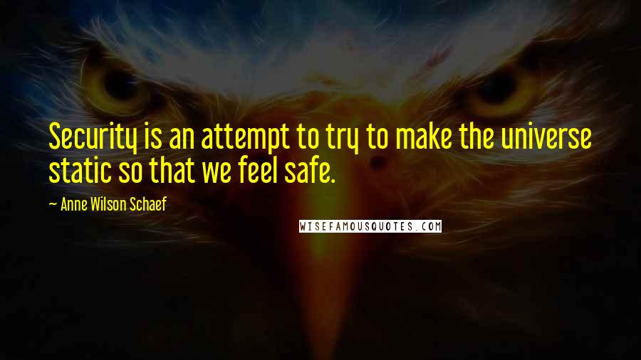 Anne Wilson Schaef Quotes: Security is an attempt to try to make the universe static so that we feel safe.