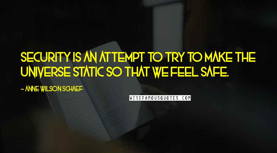 Anne Wilson Schaef Quotes: Security is an attempt to try to make the universe static so that we feel safe.