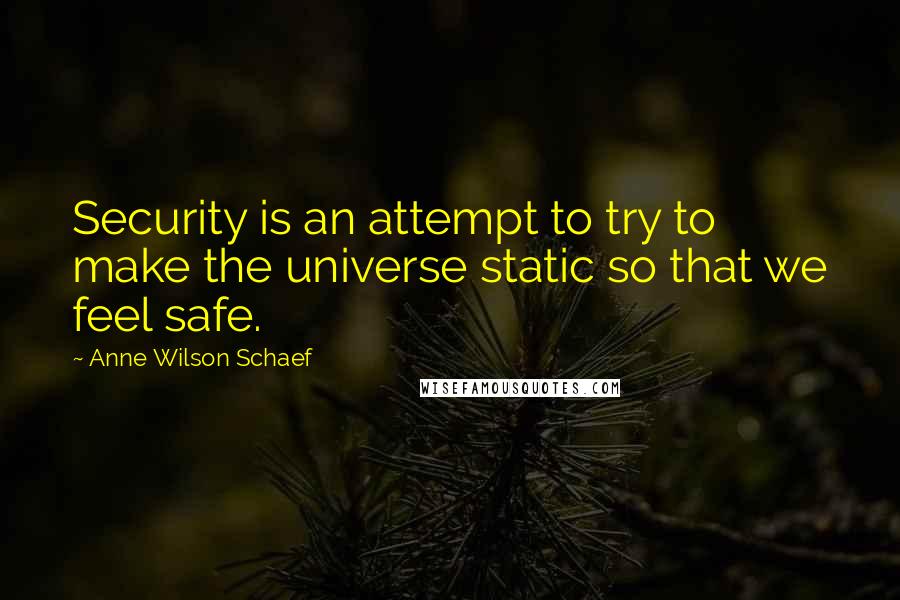 Anne Wilson Schaef Quotes: Security is an attempt to try to make the universe static so that we feel safe.