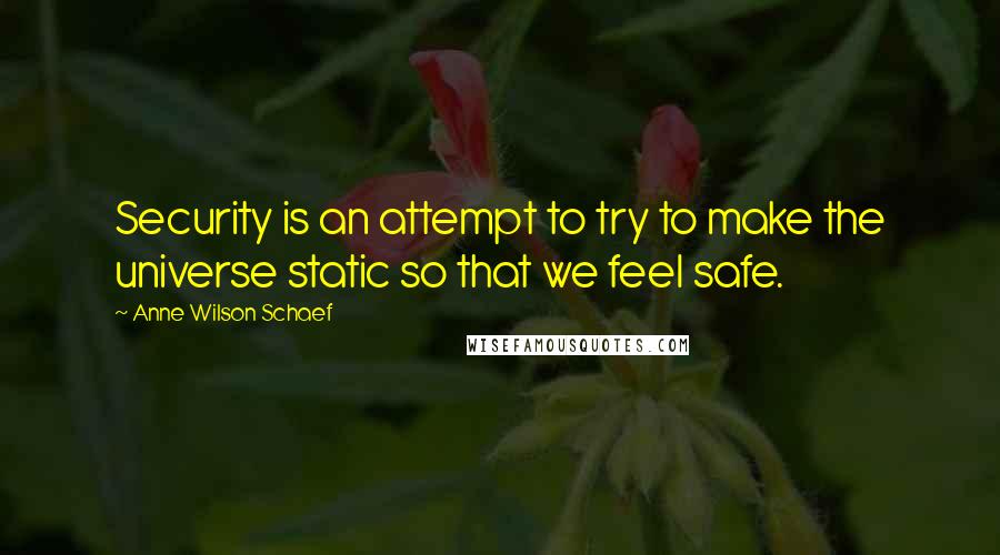 Anne Wilson Schaef Quotes: Security is an attempt to try to make the universe static so that we feel safe.