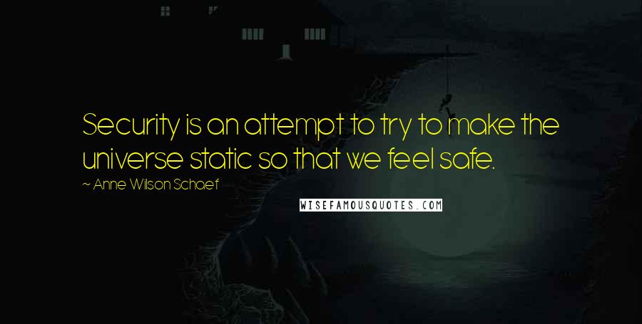 Anne Wilson Schaef Quotes: Security is an attempt to try to make the universe static so that we feel safe.